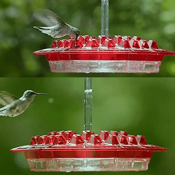 Graddi Sweety Hummingbird Feeder