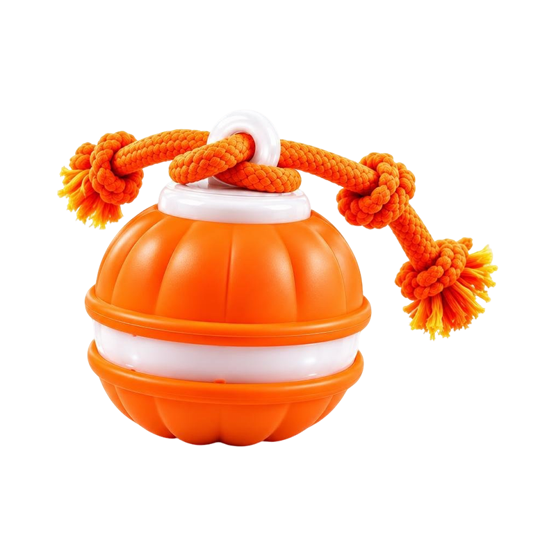 Graddi Smart Rolling Ball