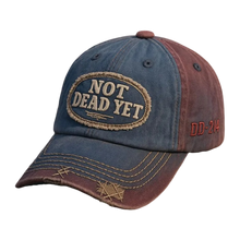 Load image into Gallery viewer, Graddi Still Standing Cap
