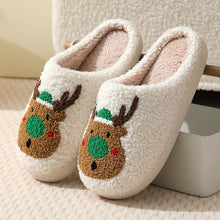 Load image into Gallery viewer, Women&#39;s Winter Warm Plush Cartoon  House Slippers
