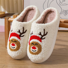 Load image into Gallery viewer, Women&#39;s Winter Warm Plush Cartoon  House Slippers
