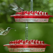 Load image into Gallery viewer, Sherem Sweety Hummingbird Feeder
